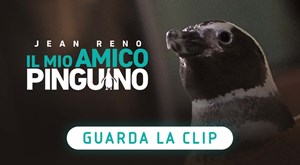 Il Mio Amico Pinguino: Guarda La Clip In Esclusiva